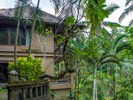 The Kampung Resort Ubud - Garden