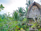 The Kampung Resort Ubud - Garden